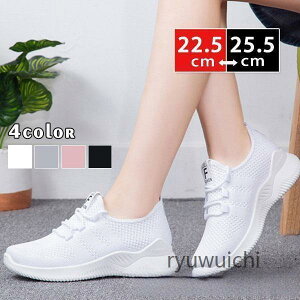 Xj[J[ fB[X EH[LO JWA C K ʊw ʋ  bV  t H ʋC y WMO ̓