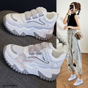 Xj[J[ fB[X  ؍ Xj[J[JWA y l V[Y bV 8Z`q[Cq[ r Vv C Xj[J[ C