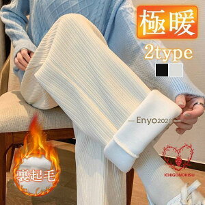 WK[pc fB[X XEFbgpc 2type C[W[pc  N X|[cEFA [EFA H~  AEghA