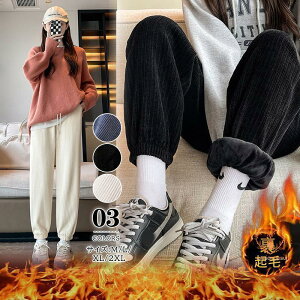 WK[pc fB[X N {A W[Wpc EGXgS nXEFbg  g[jO jO X|[c ^ H~