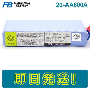 yԌ艿izy݌ɂzÉ͓dr 20-AA600A ΍ЎM@pobe[ 24V600mAh/5HR RlN^ Vb^[iQh~@\tj ΐݔpobe[ dr