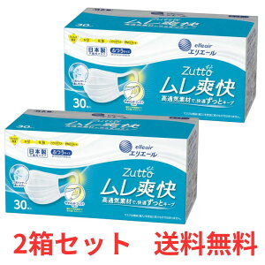 yP3{ 420`z y2z 剤 GG[ Zutto iƁj u }XN zCg ӂTCY 30 ECX  ԕ nEX_Xg PM2.5 { sDz