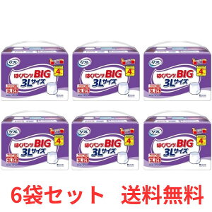 y13܂ł̒œoׁz yP[X̔z t ͂pc BIG 3L 14×6 lpނ pc^Cv ނ ppc  傫TCY uhD a@E{ݗp y