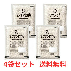 【4袋セット】 大塚食品 マンナンヒカリ 1kg 業務用 米 こんにゃく カロリー調整 糖質 食物繊維