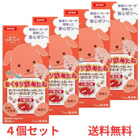 【送料無料】 【4個セット】 龍角散 おくすり飲めたね 【いちご味】 スティックタイプ (25g×6本入) 食事 健康用品 服薬ゼリー