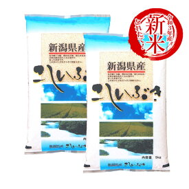 楽天市場 米 10kgの通販