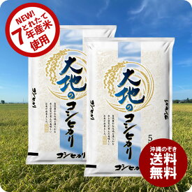 セール 米 大地のコシヒカリ 10kg お米 10キロ 令和7年産米入り 送料無料 (沖縄のぞく)