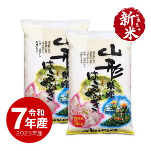 V ߘa7NY R`Y ͂ʂ 10kg  ̂