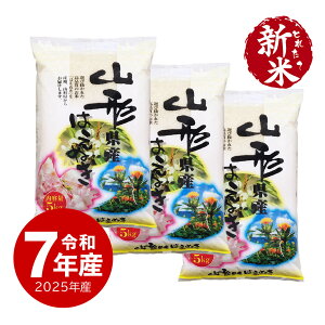 V ߘa7NY R`Y ͂ʂ 15kg  ̂