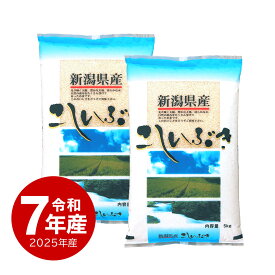 セール 米 新潟産こしいぶき お米 10kg 令和7年産 送料無料 沖縄のぞく