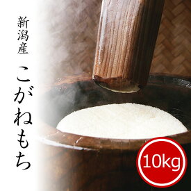楽天市場 もち米の通販