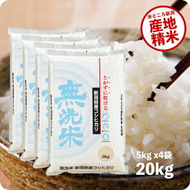 米 20kg 無洗米コシヒカリ お米 令和5年産 新潟県産 5kg ×4袋 送料無料（沖縄のぞく）
