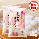 米 10kg ミルキークイーン お米 令和6年産 新潟県産 精米 白米 5kgx2袋 送料無料 (沖縄のぞく)