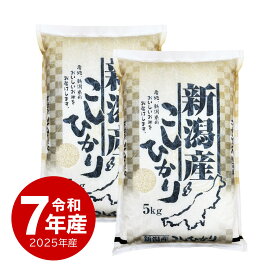 セール 米 新潟産コシヒカリ 10kg お米 令和7年産 送料無料 (沖縄のぞく)