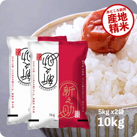 米 10kg 新之助 お米 令和5年産 新潟県産 しんのすけ 一等米 5kg ×2 精米 白米 送料無料（沖縄のぞく）