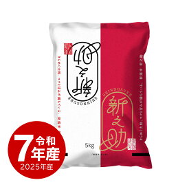 米 新之助 お米 5kg しんのすけ 令和7年産 新潟県産 一等米 送料無料 沖縄のぞく