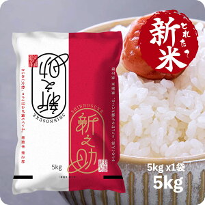 白米 新之助 5kgの人気商品・通販・価格比較 - 価格.com 