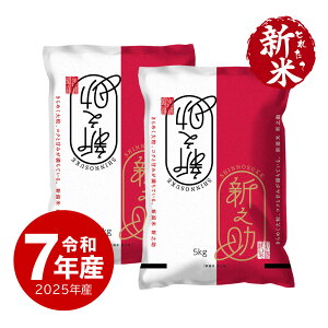 V ߘa7NY VV  10kg VY ꓙ  ̂