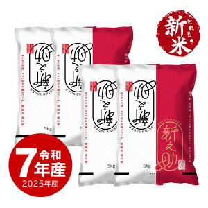 新米 令和7年産 新之助 お米 20kg 新潟県産 一等米 送料無料 沖縄のぞく
