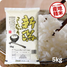 【エントリーP5倍】米 5kg 新潟産コシヒカリ お米 令和5年産 こしひかり 精米 白米