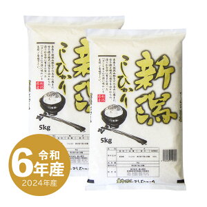yoZ[izߘa6NY VYRVqJ 10kg  10L Ђ   (̂)