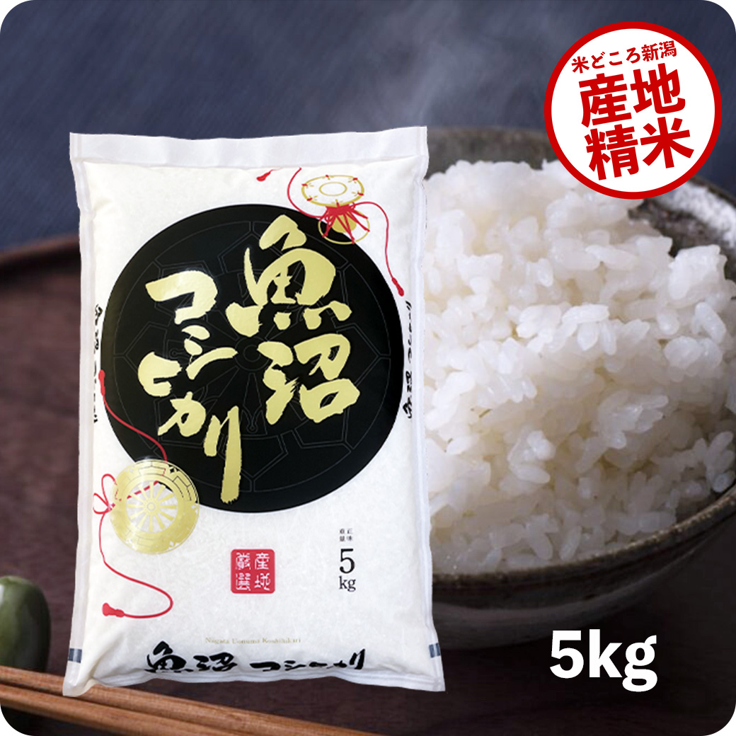 米 5kg 魚沼産コシヒカリ お米 令和5年産 こしひかり 精米 白米 送料