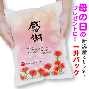 y̓v[g̓J[l[VŁz VY RVqJ 1pbN 