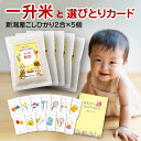 【 選び取り カード ＆台紙付き】一升米 1歳 小分け 新潟産コシヒカリ2合5個 セット 【300g*5個】 真空パック 祝 赤ちゃん 一歳 1才 一生米 選びとり お祝い 誕生日 名入れ 名前 プレゼント 送料無料 女の子 男の子 一升餅 おすそ分け