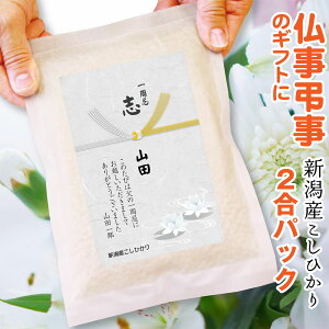 @ Ԃ Mtg  VYRVqJ2 ^pbN TԂ  ~ V~ o 49 蕨  u  䋟 i { V @v e{