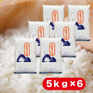 ブレンド米 30kg」の人気商品一覧 | 安い商品を通販サイトから探す 
