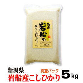 米 令和7年産 岩船産コシヒカリ 米 【真空パック】 5kg