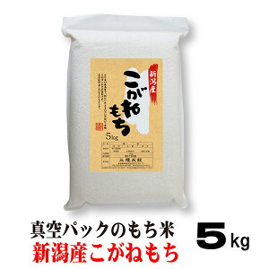 V  5L ߘa7NY V ˂ 5kg ^pbN  ݂