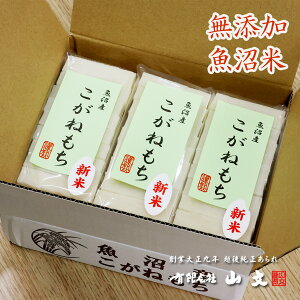 R̉z 360g×3pbNyH꒼z