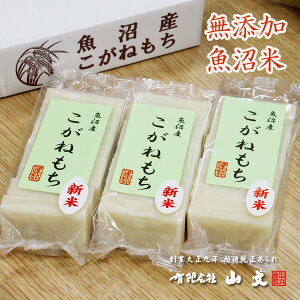 R̉z 360g×6pbNyH꒼z