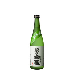 zT ċ 720ml  { ċ  Mtg v[g  蕨  V lC |  bZ[WJ[h ̂l Ԃ j j җMtg