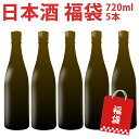 日本酒 福袋 720ml 5本 大吟醸または純米大吟醸が1本 純米吟醸酒または吟醸酒が1本 純米酒が1本 もう2本も新潟の美味しい日本酒を厳選してお届け 何が入っているかは届いてからのお楽しみ 日本酒 おまかせ