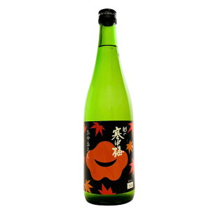 iHjz̊~ Ђ₨낵 Č 720ml V { ₨낵 ≵ Ђ≵ Ђ≵ ≵ Hオ H