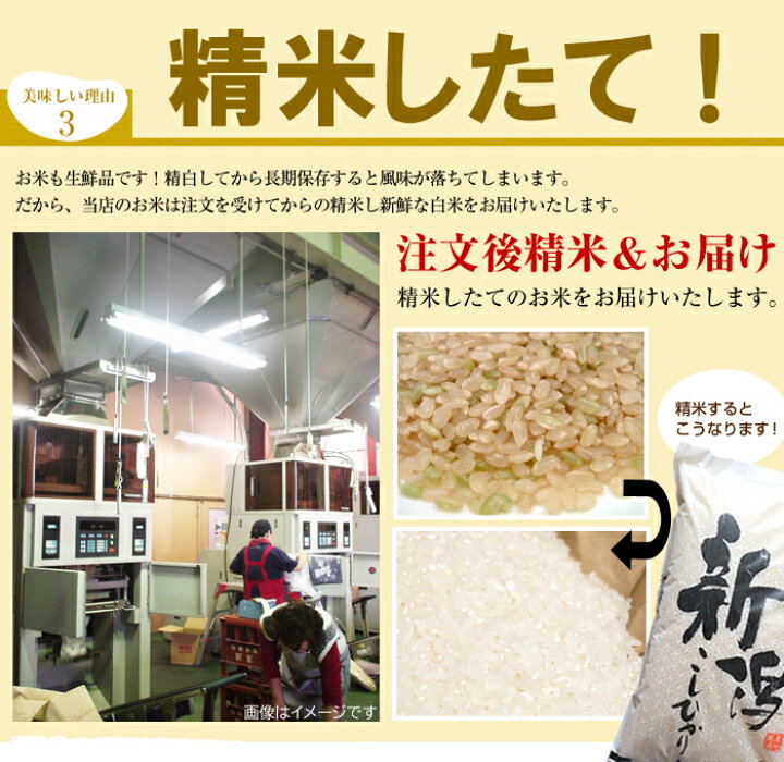 楽天市場】新潟産 コシヒカリ 10kg 送料無料 新潟県産 （5キロ×2個  