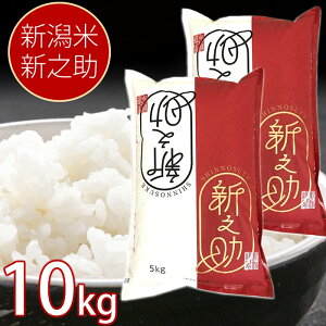 yYnzV VV 5kg ܂ 10kg ߘa7NYV čX VY     CX  嗱 Ö ܂ă}CX^[IԔ ̂ V  
