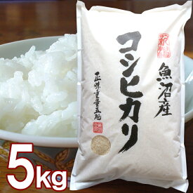 (産地直送)魚沼産 コシヒカリ 5kg または 10kg 令和7年産新米 新潟県産 五つ星お米マイスター 早川米穀店 産地直送米 新米 精米 白米 米どころ新潟のコシヒカリを産地直送 新潟魚沼産のコシヒカリ100％ ご自宅用 ギフト贈り物 新潟グルメ