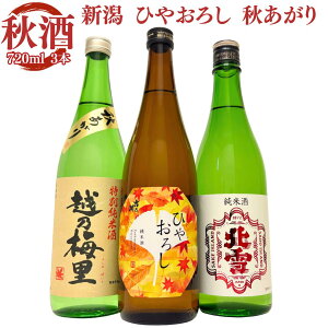 (H){ Ђ₨낵 H ݔ 720ml 3{ Zbg gT k zT~ {  Mtg v[g 蕨 a Ĥ ₨낵 ≵ H Hオ