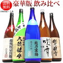 日本酒 純米酒 純米吟醸 飲み比べセット1800ml 5本(豪華版) 越乃寒梅 灑 入り日本酒 飲み比べ 新潟の純米と純米吟醸が飲み比べできる限定飲み比べセット プレゼント ギフト