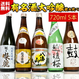 日本酒 セット 純米大吟醸 大吟醸 有名酒飲み比べセット720ml 5本 越乃寒梅 八海山 日本酒 純米大吟醸 大吟醸酒 特割四合瓶 5本組 プレゼント ギフト お酒 日本酒 送料無料 横型の陣