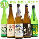 (季節限定) 新潟 新酒しぼりたて 飲み比べ セット 720ml 5本 白龍 たかの井 柏露 越乃八豊 お福正宗 日本酒 新酒 しぼりたて 新米新酒 日本酒 飲み比べ セット ギフト プレゼント お歳暮 お年賀 年末年始 お正月