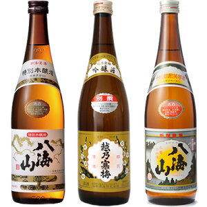 CR ʖ{ 720ml  zT~ ʐ  720ml  CR 720ml { ݔ׃Zbg