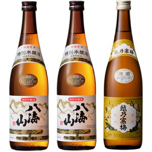 CR ʖ{ 720ml 2{  zT~ x 720ml { ݔ׃Zbg