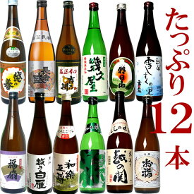 日本酒 飲み比べセット 720ml×12本 新潟のお酒が12本もはいった豪華なセット1本あたり900円の破格にておいしい地酒が飲み比べできます 日本酒4合瓶福袋 冷蔵庫で冷やせます 日本酒 お酒 ギフト プレゼント 贈答 贈り物 おすすめ 新潟