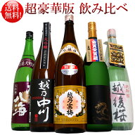 (超豪華版)日本酒 飲み比べ 福袋 セット 1800ml 5本 越乃寒梅別撰 吟醸酒 越乃中川大吟醸 白龍 大吟醸 越…
