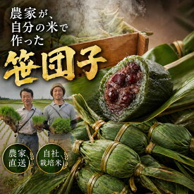 笹団子 こしあん・つぶあん選べる（10個/20個/30個）自社栽培米使用 手作り よもぎ団子 新潟名物 農家直送 新潟森林農園 農家が自分の米で作った笹団子 濃いよもぎ あんこぎっしり これが農家の味だ