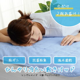 【1枚1490円・送料無料】つめた～い・接触冷感敷きパッド　シングルサイズ　涼やかなブルーカラー ひんやり　冷たい　夏用　敷きパッド　お買得　送料無料　冷感　来客用